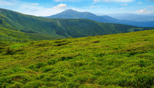 在夏天山风景