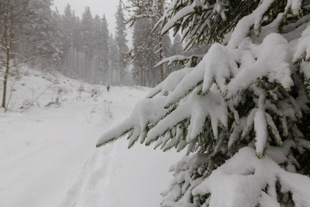 冬天大雪暴雪与旧木制平房在森林里，在 12 月的景色