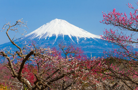 富士山景图片