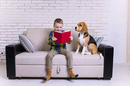 滑稽的男孩读一本书与猎犬狗在沙发上