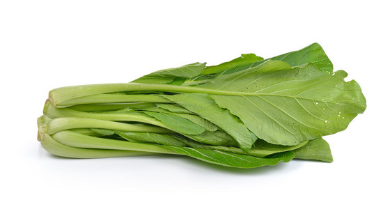 无毒白色背景下的中国芥末绿色(无毒)照片