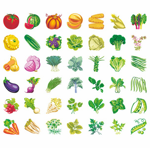平的蔬菜图标设置与萝卜南瓜土豆芹菜孤立矢量图照片