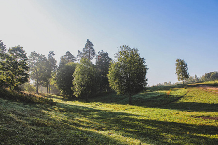 Gatchina 公园晨灯