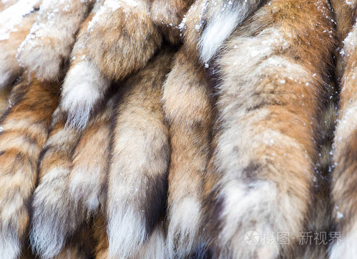 五颜六色的动物毛皮