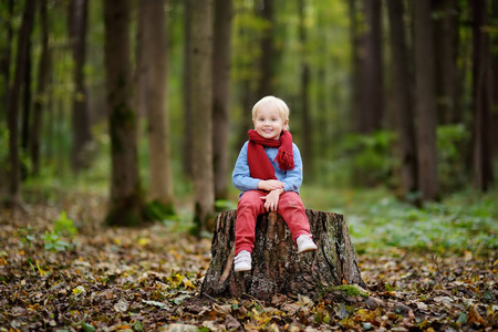 小男孩坐在木树桩上漫步在森林里