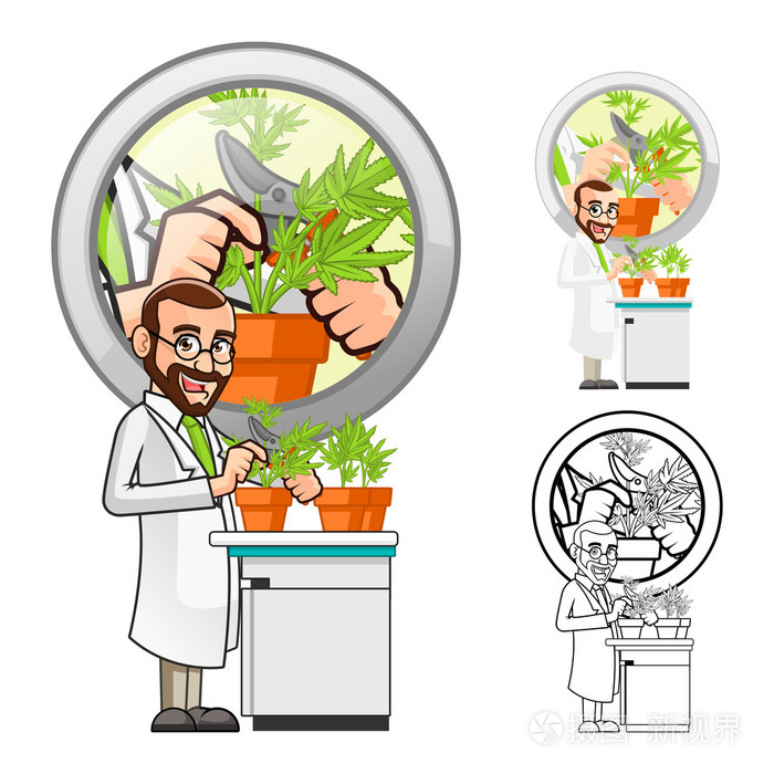 切一片叶子从一种植物的植物科学家卡通人物插画-正版商用图片0fgap4
