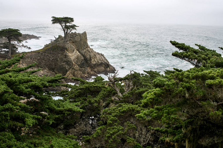 旧金山鹅卵石海滩