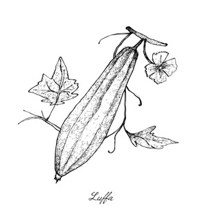 关公葫芦画素描图片