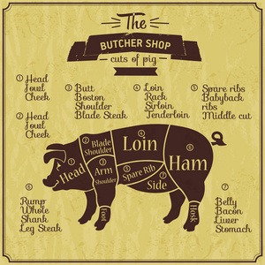 屠夫店猪肉的插图。农场复古背景。部分满足方案