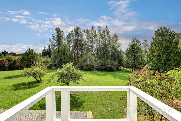 有很多的绿色植物从房子的阳台上后院视图