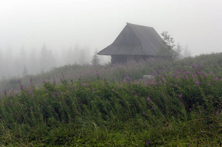 塔特拉山雾山谷