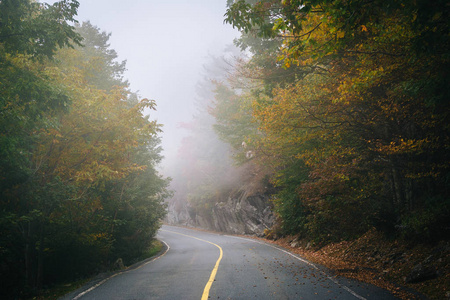 早期的秋天颜色和祖父山的道路上的雾