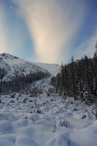 风景秀丽的雪山。塔特拉