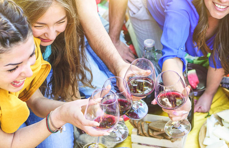 一群快乐的朋友一起野餐举杯庆祝红酒杯年轻人一起享受和欢笑一起饮酒和吃户外友谊, 青年, 生活方式概念