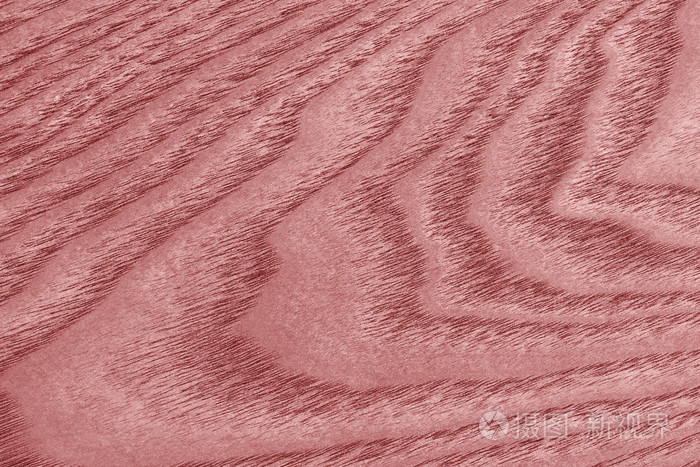 天然枫树木材漂白和染色红 Grunge 纹理样本