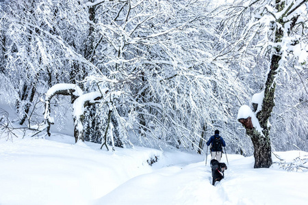 不知名的男人方和他的狗走在雪景中