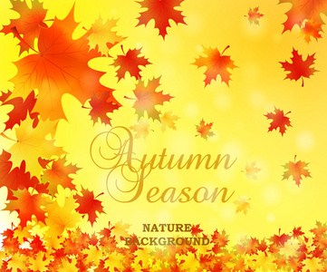 叶子的秋天背景。矢量自然背景