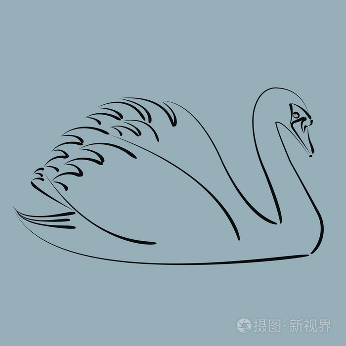 黑天鹅