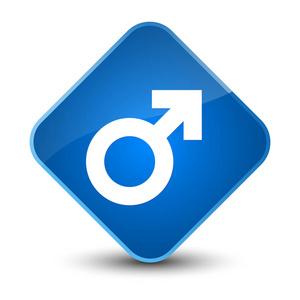 雄性符号图标典雅的蓝色钻石按钮