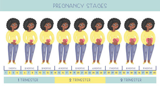 可爱的怀孕的非洲裔美国妇女。妊娠分期胚胎发育月份