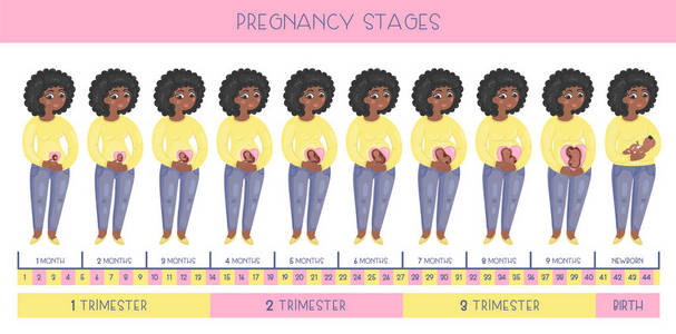 可爱的怀孕的非洲裔美国妇女。妊娠分期胚胎发育月份