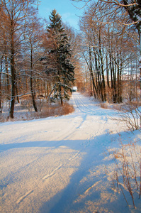 在冬天白雪覆盖的乡间小路上