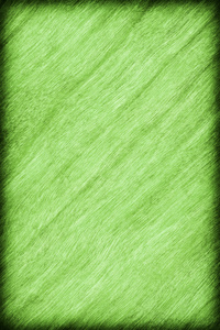 樱桃木漂白和染色石灰绿色小插图 Grunge 纹理