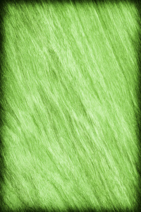 樱桃木漂白和染色石灰绿色小插图 Grunge 纹理