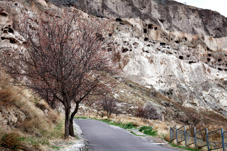 美丽的秋天看法从红色树在 Vardzia 洞城市修道院在 Erusheti 山, 佐治亚