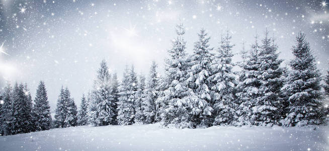 圣诞节背景的雪和霜雪的冬天景观覆盖松树魔术寒假