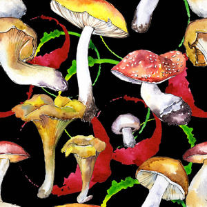 水彩风格的蘑菇健康饮食模式