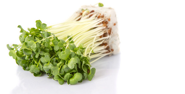 口味萝卜图片-口味萝卜素材-口味萝卜插画-摄图新视界