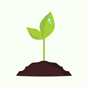 简单生长植物图标图片