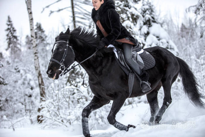 冬天森林里骑着黑马穿过雪地的女孩背景