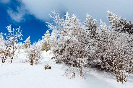 冬天山下雪的风景