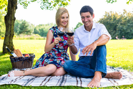 红酒的草地上野餐的夫妇