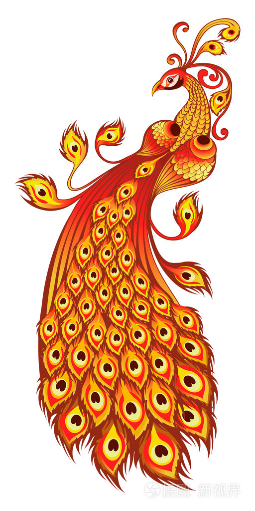 在白色背景上的魔术火鸟