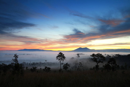 在通萨朗銮国家公园森林多雾的早晨日出