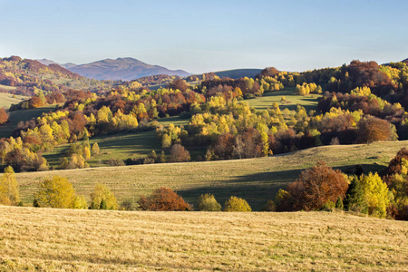 Bieszczady 山脉波兰喀尔巴阡山