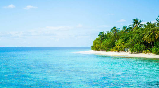 海洋中的孤岛照片