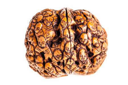 日本雕刻果壳图片