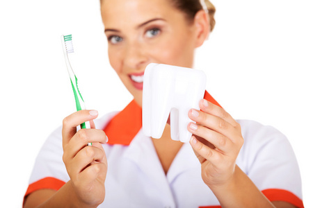 年轻牙医女人用牙刷和牙模型