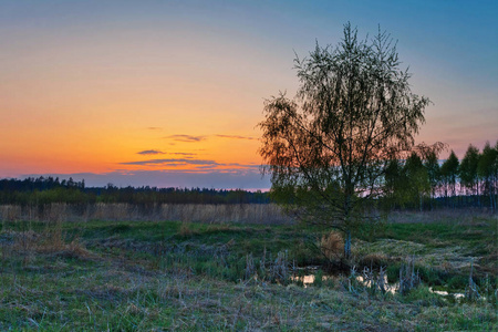 夕阳现场景观