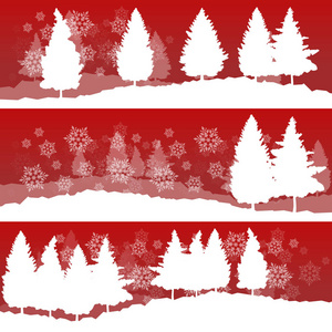 与冬季白色雪杉树和首圣诞背景
