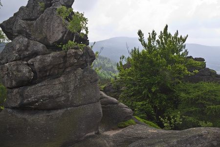 波兰苏 sokole 山