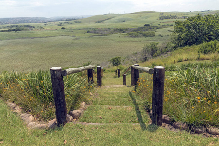 木杆护栏栅栏走道甘蔗种植园 Landsca