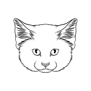 黑白婚纱照头像山猫头像素描,野猫画像动物黑白手绘矢量插图照片