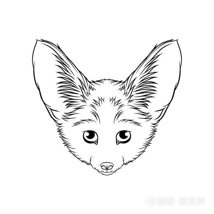 沙漠fennec 狐头素描, 森林动物的画像黑白手绘矢量插图
