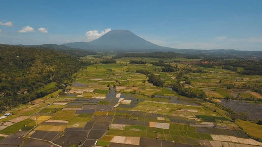 印度尼西亚巴厘岛山地景观农田和村庄