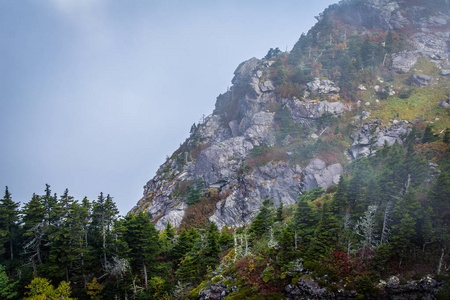 树木和岩石坡在雾，在祖父山，北 Ca